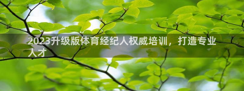 欧陆娱乐有限公司招聘：2023升级版体育经纪人权威培