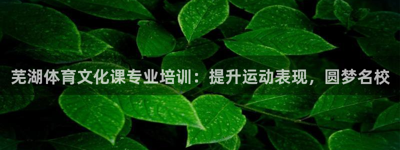 欧陆娱乐打什么方案