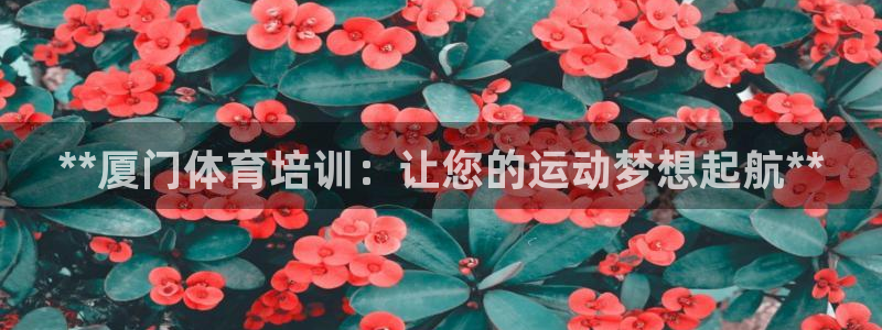 欧陆注册码：**厦门体育培训：让您的运动梦想起航**