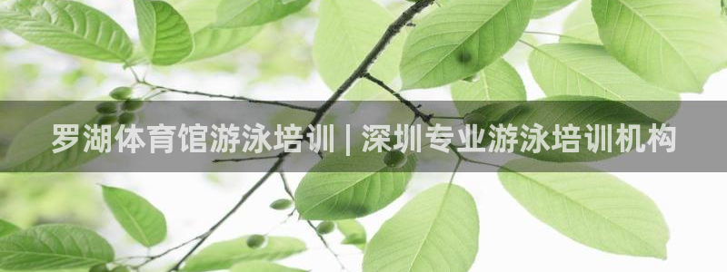 欧陆娱乐打什么方案赚钱：罗湖体育馆游泳培训 | 深圳