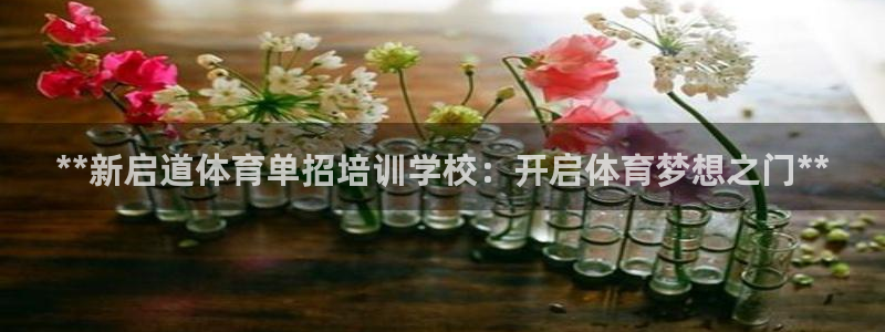 欧陆娱乐代理 贴吧官网：**新启道体育单招培训学校：开启体育