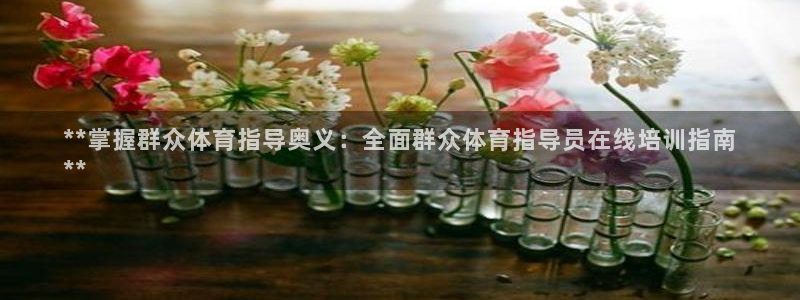 欧陆平台：**掌握群众体育指导奥义：全面群众体育指导