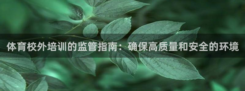 欧陆娱乐官方网站入口：体育校外培训的监管指南：确保高