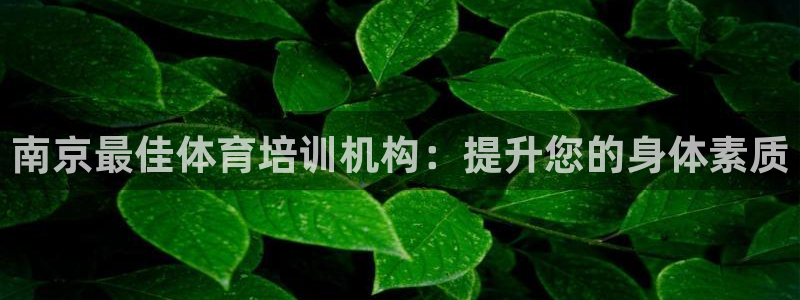 欧陆娱乐官方网站入口：南京最佳体育培训机构：提升您的